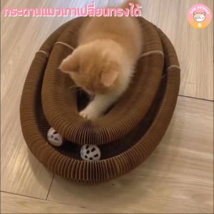 เล่นแมวกระดานแมวเกาเปลี่ยนรูปทรงได้ ฟรี และบอลกระดิ่ง B025