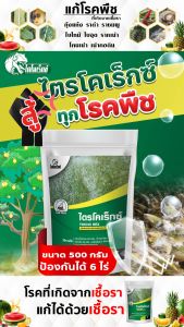 รักษาโรค รากเน่า โคนเน่า เน่าคอดิน เชื้อไตรโคเดอร์ม่า ป้องกันและรักษาโรคพืชได้ทุกชนิด กำจัดเชื้อราโรคพืช ให้พืชไม่เป็นโรค ปลอดภัย ไตรโคเร็กซ์แม็กซ์ 500 กรัม