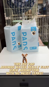 Dog Pee Pad Puppy Training Pad