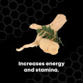 POWER ROOT ENERGY DRINK 250ML. 
