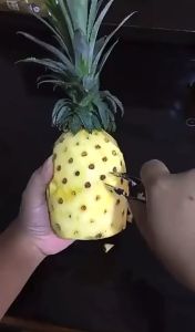 Alat Capitan Pembersih Mata Nanas Stainless Steel Anti Karat / Pineapple Eye Remover/ Pisau Nanas