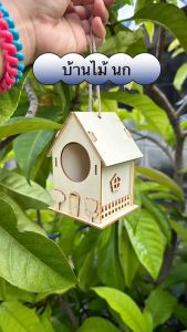 บ้านนกDIY บ้านไม้นก ระบายสีบ้านนก DIYระบายสี ตกแต่งสัตว์เลี้ยง ตกแต่งสวน