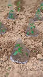 YoPo 10Pcs Plastic Plant Covers Weather-Proof Plant Hats Protection Outdoor Garden Supplies Seedling Prot