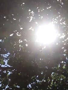 Bạt che kính lái ô tô Bạt che kính gương hậu Bạt che nắng ô tô 4 lớp Bạt che kính trước ô tô Bạt che ô tô phản quang