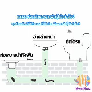 น้ำยากำจัดแมลง ฆ่าแมลงมาตามท่อน้ำทิ้งในครัวเรือน สำหรับปฏิบัติการกับน้ำยา ปลอดภัยสำหรับมนุษย์และบริเวณที่ซับซ้อน