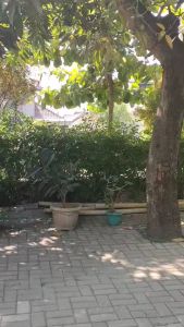 Cyara Tunik Katun Salur Kombinasi Tile Brukat Terbaru