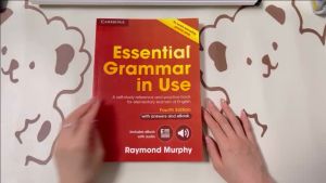 Cambridge English Grammar Advanced Essential English Grammar In Use Books