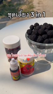 ชุดเลี้ยง 3 in 1 เวย์ไก่ ทองแดง ลูกกลอน