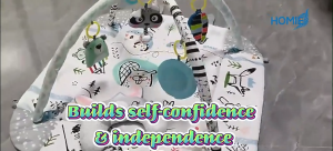 Multifunctional Baby Play Mat with Toys (Newborn to 36 Months)