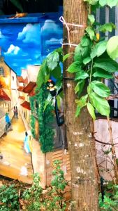 Béc Tưới Cây Phun Mưa Cánh Bướm Cho Vườn Cây chân 21mm.