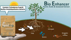 Green House Feeding Bio Feeding Starter Kit (Organic Fertilizer OMRI Listed BioEnhancer: 125g BioGrow: 500g BioBloom: 500g for 100-150L of substrate Bio Feeding Starter Kit )