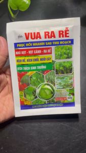 COMBO 5 GÓI VUA RA RỄ PHÂN BÓN LÁ GÓI 50G NHÚ ĐỌT -  VỌT CÀNH - RA RỄ