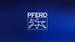 Pferd จำหน่าย ยกกล่อง (60ชิ้น) ตราม้าลอดห่วง ตะไบแทงโซ่ เลื่อยยนตร์แบบกลม Dia 4.0/4.8/5.5