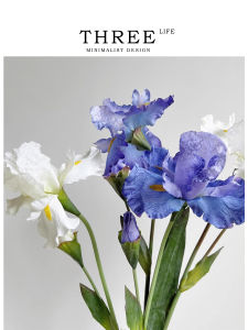 ต้นไม้เทียม Iris Tlife พืชประดับบ้านแบบยั่งยืน ดอกไม้แห้ง ตกแต่งบ้าน สไตล์ยุโรป วัสดุผ้าไหม รูปทรงดอกไม้ ขนาดเล็ก