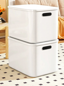 XINGYOU | Storage Box Organizer Plastics