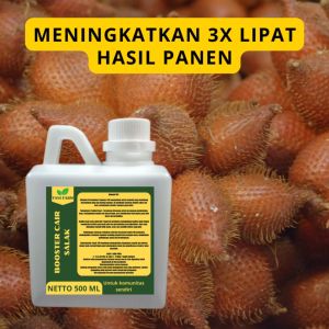 Pupuk Pelebat Salak: Meningkatkan Kualitas dan Produksi Buah Salak