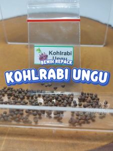 Benih Kohlrabi Ungu Unggulan Berkualitas biji bibit repack kol kubis merah hydroponik hidroponik sayur sayuran tanaman pot