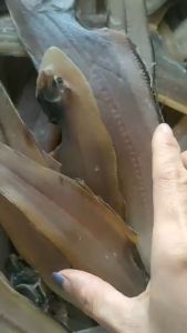 500GR KHÔ CÁ LƯỠI TRÂU LOẠI TRUNG - SIÊU TIẾT KIỆM-VỰA KHÔ MINH TRIẾT