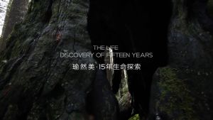 假一赔十 Yuranm 瑜然美 5%烟酰胺甘油 护肤甘油 5% Nicotinamide Malaysian Glycerin Serum Malaysia Glycerol Moisturizer Liquid Body Face Skincare Hydrating Moisturizing Brightening Gel Anti Dark Spot