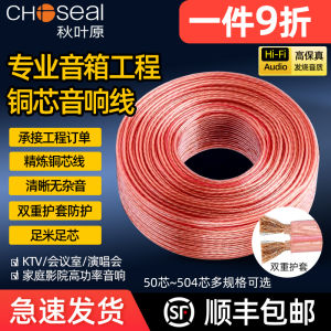 Akihabara Speaker Line Speaker Cable Audio Engineering Special Horn Wire Old-Fashioned Audio Surround Amplifier Copper Cable