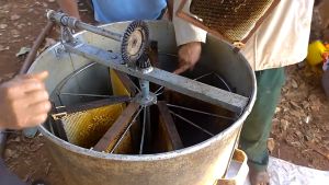 Mật ong hoa cà phê nguyên chất Đăk Lăk - Combo 2 chai 1 lít