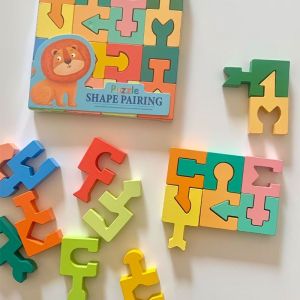 Logical Thinking Coordination Puzzle Blocks