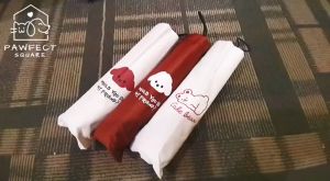 B1F1 Foldable Cartoon Bear Umbrella UV Protection & Travel Size Mini Umbrella Manual Folding Umbrella