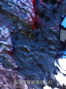 Lampu Suluh Kepala Paling Terang B.G.B Headlamp Waterproof Hiking Headlight Led Light Rechargeable Lampu Kepala Tahan Lama 头灯