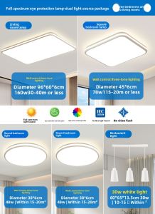 Chigo | Full Spectrum Eye-Protective Ceiling Light Modern Simple Design
