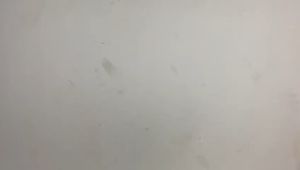 FOGLAMP LED LASER MT28 VINYX BULAT LAMPU TEMBAK SOROT LED LASER PUTIH KUNING MOBIL MOTOR X-CASE