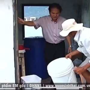 Chế phẩm EM gốc THỦY SẢN. Xử lý nước ao hồ nuôi Cá Tôm. Diệt vi sinh gây hại. Ức chế tảo lam khử khí độc. HSD 2 năm