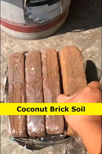 Cocopeat Block Natural Suitable for reptiles Organic Eco-Friendly Peat Premium Coconut Brick Soil