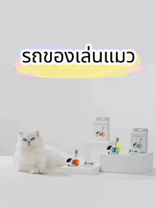 ของเล่นแมว ของเล่นแมวสมาร์ท ลูกบอลแมว รถสปอร์ตรีโมทคอนโทรล มีรีโมทคว ของเล่นแมวโต้ตอบ รถบังคับตกแมว ไม้ตกแมว แบบโต้ตอบ