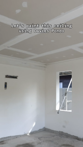 Davies Pondo Primer Topcoat 2in1 100% Acrylic Latex Paint Flat Finish Odorless Water Based 4L
