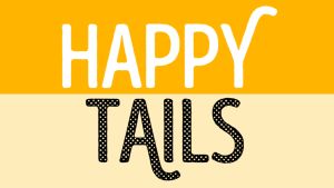 Happy Tails Bentonite Clay Cat Litter - Quick Clumping Absorbent Low Dust Odor Control Heavy Duty - 10L/8KG Unscented / Odorless Apple Lavender Lemon Coffee