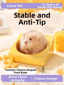 CARNO | Anti-Tipping Pet Feeding Bowl