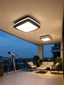 DUOSHANG | 3 in 1 Protection LED Ceiling Light Human Sensing Waterproof Anti-Insect