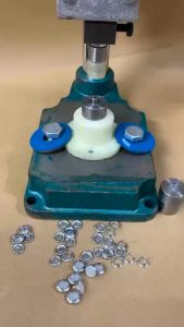 Khuôn cúc mặt ngọc (mặt vành)