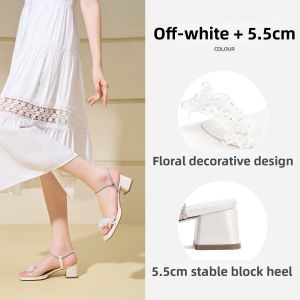 Josiny | Summer Square Toe Fashion Coarse Heel Strap Sandals