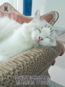 GREENPETS Cat scratch board cat sofa non-shedding chaine chair bed and couch cat bed anti-cat scratch sofa cat toy