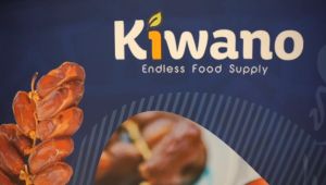 2025 Saidi Kurma Libya Jalw Dates\ Kurma Jalw 500g