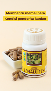 Herbal Indo Utama Benalu Teh Obat Herbal Kanker