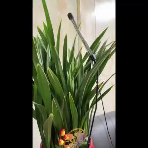 KEBINCPLED USB 5V Grow Lamp Full Spectrum Plant Lights With Control Fitolamp Lights Home Indoor Flower Seedling Clip Phyto Lamp
