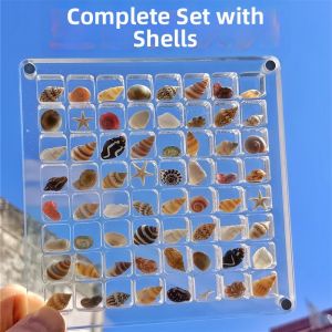 XIANXIANJIN | Highly Transparent Acrylic Miniature Shell Display Case