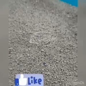 Pasir Kucing Gumpal Wangi LOVESH 10 Liter - AROMA