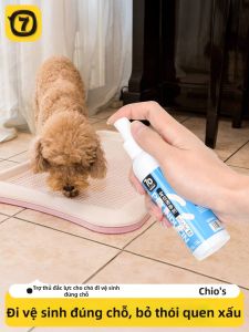 TO BE EASY | Dụng Cụ Dạy Vệ Sinh Cho Chó