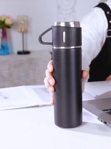 Stainless Steel Thermos Flask: A Modern Tumbler Box Bottle for Kids & Adults