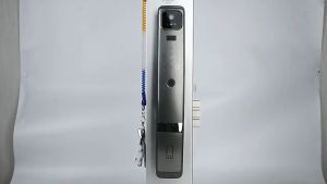 Tuya WiFi Lock Waterproof Outdoor Smart Biometric Fingerprint Face Automatic Door Lock with Eye Scanner