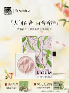 Home Use Fragrance Hanging Sachet Womens Light Scent Car ener Closet Drawer Deodorant Essential Oil Box Gift