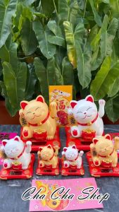 แมวกวักนำโชค 🐱 - ลูกค้า พื้นฐาน แมวเรียกทรัพย์ สัญลักษณ์ ขนาด น้อยหนึ่ง แมวกวักนำโชค 🐱